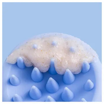 ROH Scalp Brush